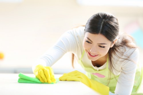 Gutter maintenance for commercial and residential buildings in SW8