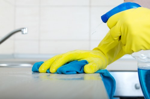 Carpet cleaning service in SW8 refreshing a rental property