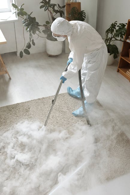 Emergency carpet cleaning Battersea Park SW8 same day service